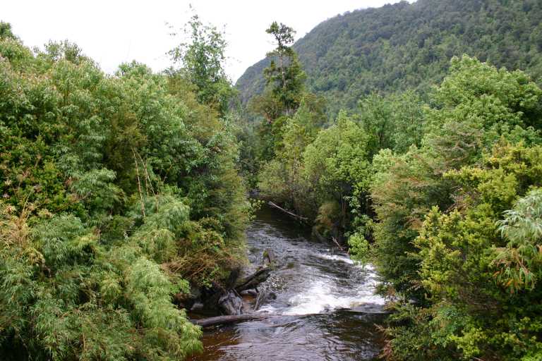 031221_P_Ch_003.JPG (72809 Byte)