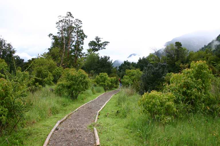 031221_P_Ch_006.JPG (50383 Byte)