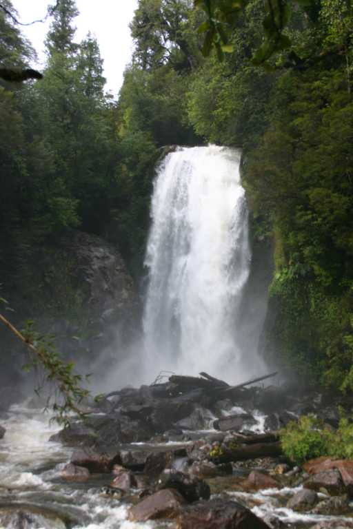 031221_P_Ch_013.JPG (37679 Byte)