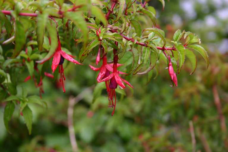 031222_P_Ed_027.JPG (34529 Byte)