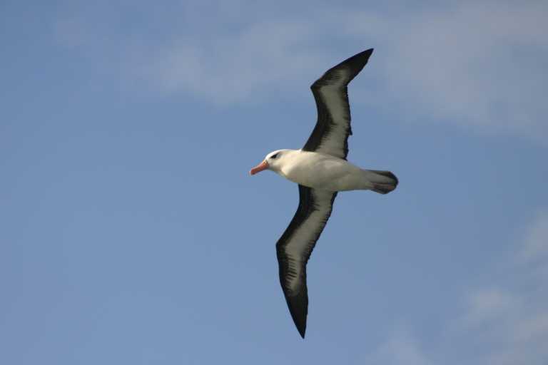 031223_S_Gl_036.JPG (10694 Byte)