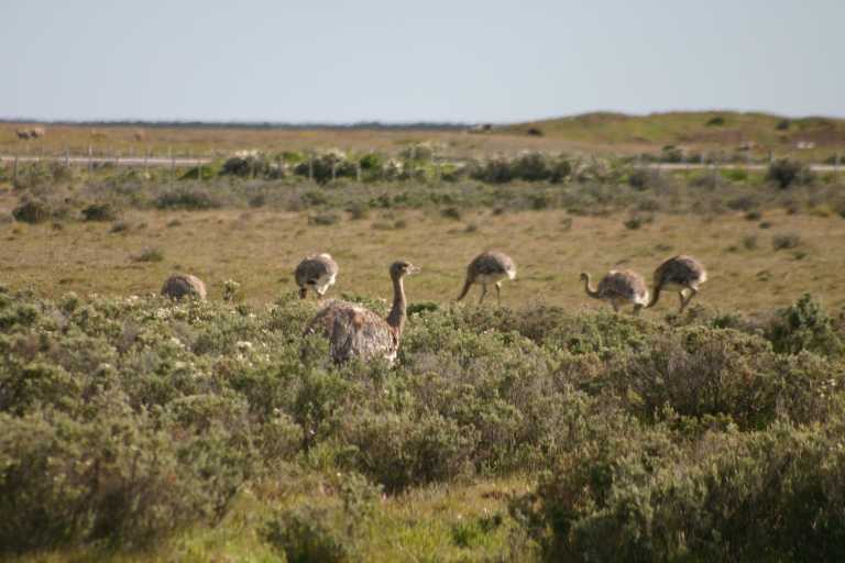 031224_P_Ar_009.JPG (40181 Byte)