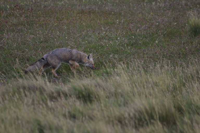 031224_P_Ar_032.JPG (35210 Byte)