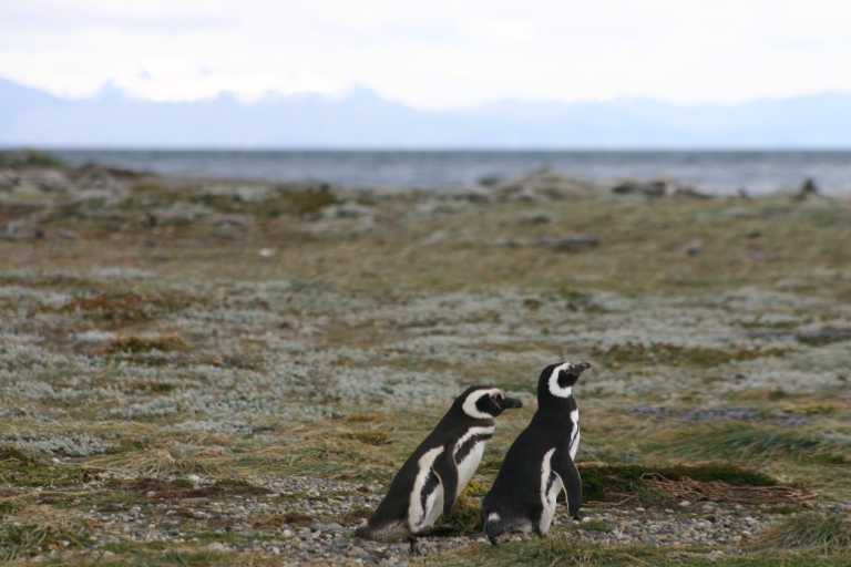 031224_P_Ar_036.JPG (34017 Byte)