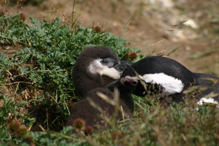 031224_P_Ar_047.JPG (44301 Byte)