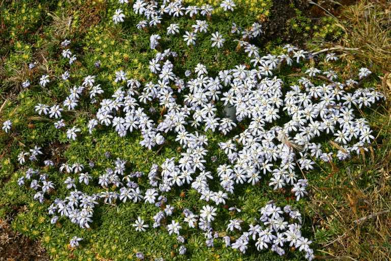 031224_P_Ar_050.JPG (103854 Byte)