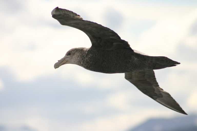 031224_P_Ar_066.JPG (15716 Byte)