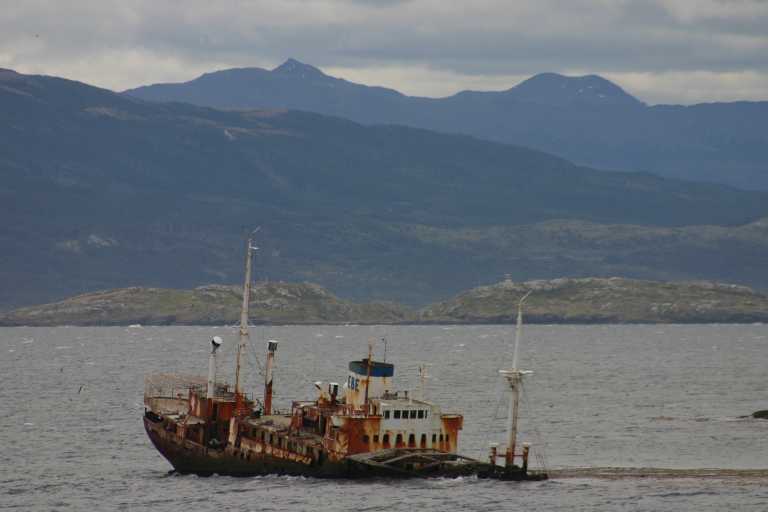 031225_K_Ho_032.JPG (25716 Byte)