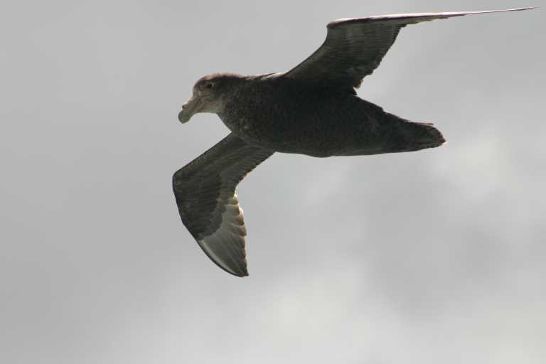 031225_K_Ho_034.JPG (12395 Byte)