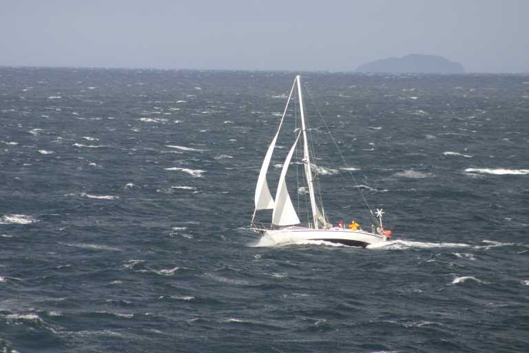 031225_K_Ho_036.JPG (34881 Byte)