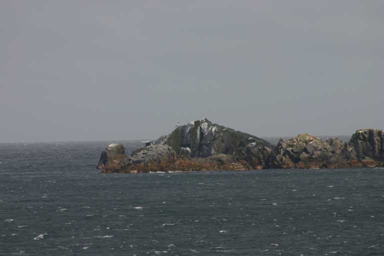 031225_K_Ho_045.JPG (20408 Byte)