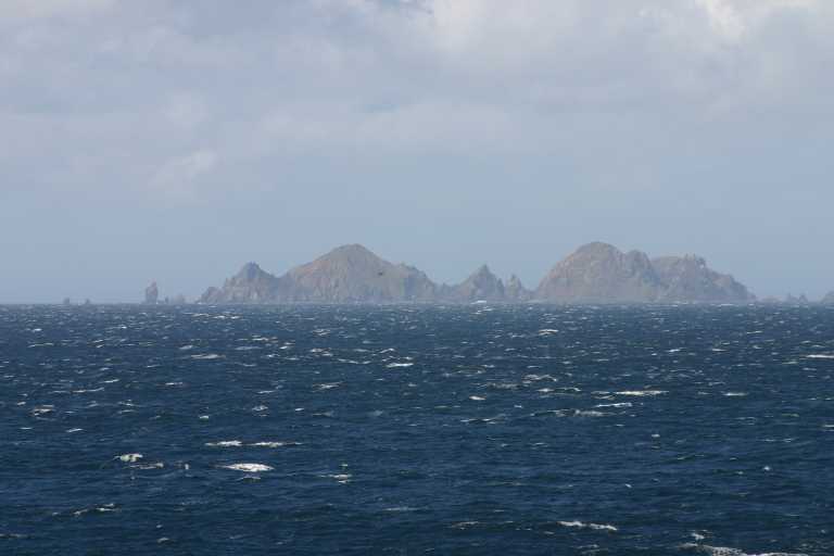 031225_K_Ho_046.JPG (25033 Byte)