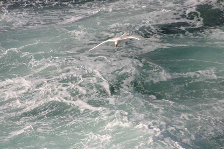 031225_K_Ho_075.JPG (44469 Byte)