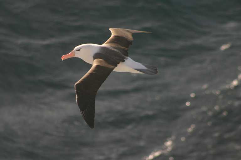 031225_K_Ho_086.JPG (15836 Byte)