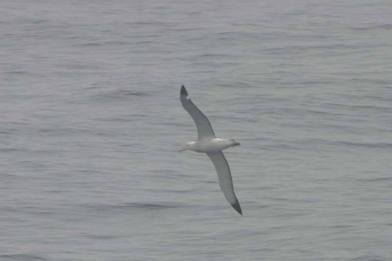 031226_D_Pa_001.JPG (19144 Byte)