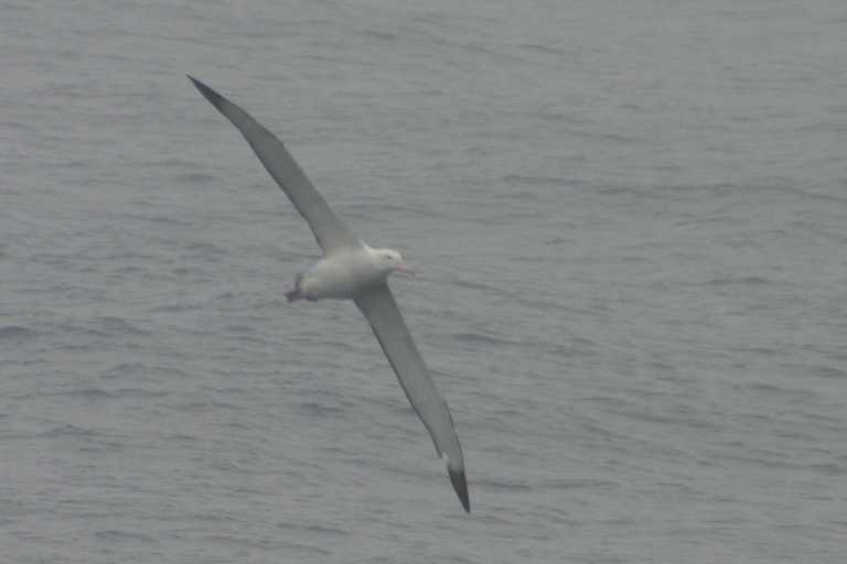 031226_D_Pa_006.JPG (17753 Byte)