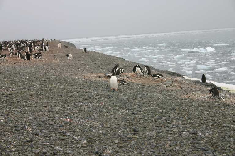 031227_yhdi_009.jpg (52836 Byte)