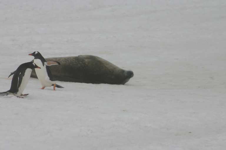 031227_yhdi_026.jpg (13577 Byte)