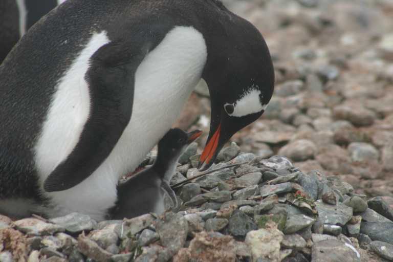 031227_yhdi_036.jpg (33380 Byte)