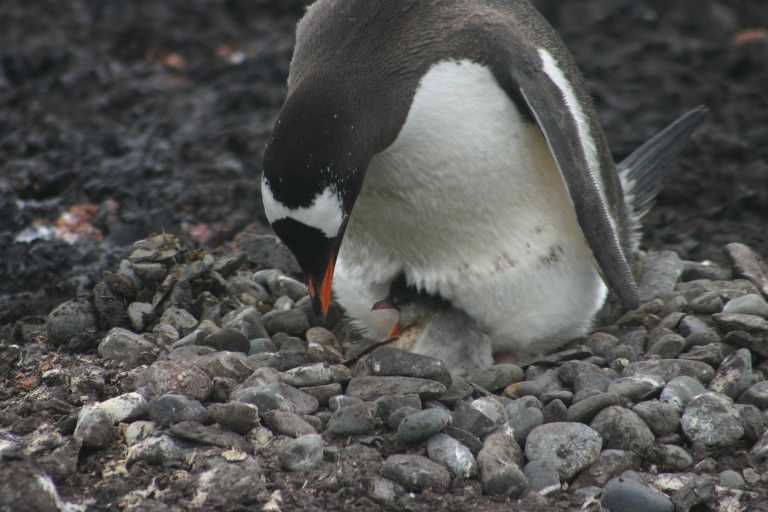 031227_yhdi_044.jpg (40421 Byte)