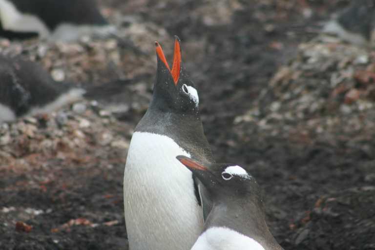 031227_yhdi_048.jpg (26260 Byte)