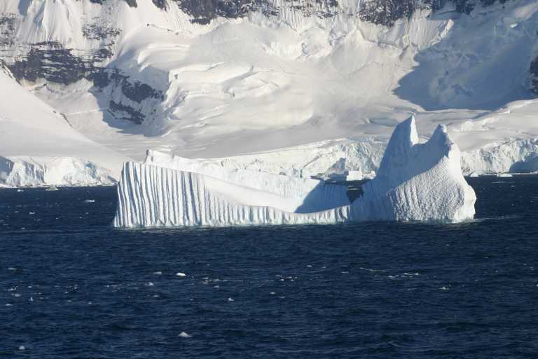 031228_PLVe_040.JPG (41439 Byte)