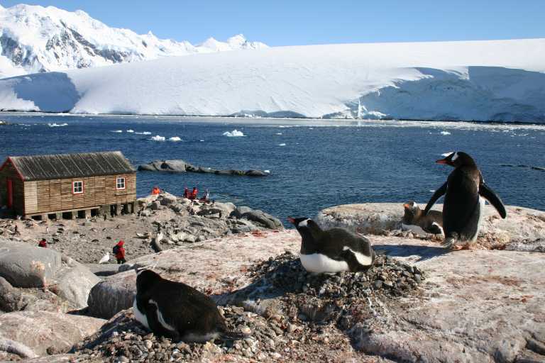 031228_PLVe_089.JPG (57518 Byte)