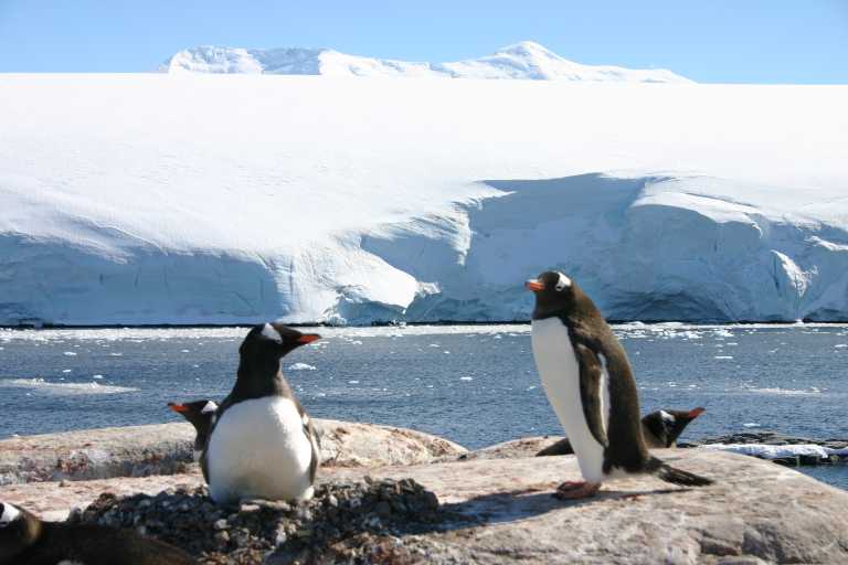 031228_PLVe_090.JPG (37540 Byte)