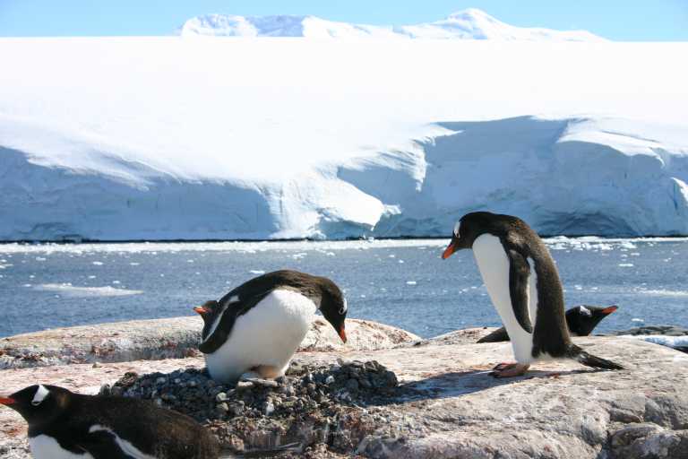 031228_PLVe_091.JPG (40032 Byte)