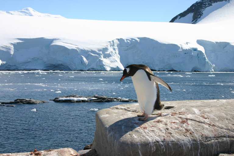 031228_PLVe_097.JPG (42792 Byte)