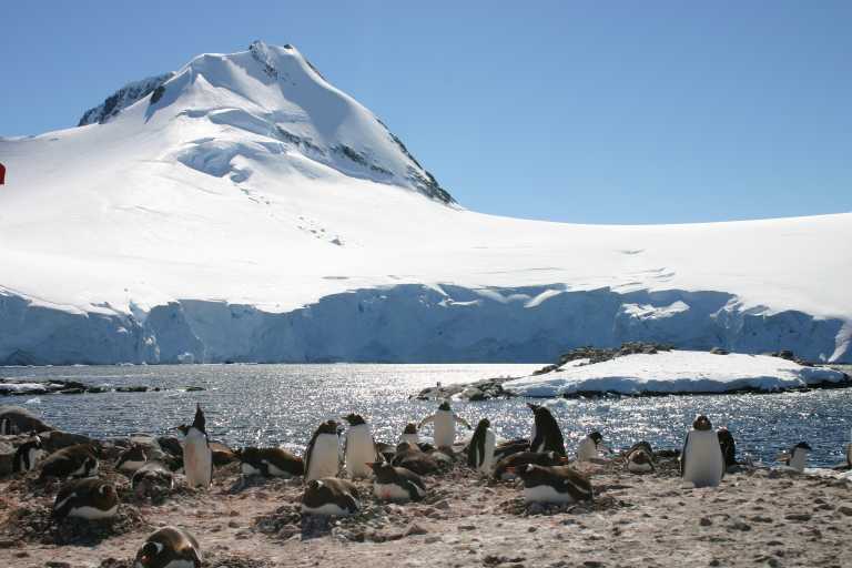 031228_PLVe_101.JPG (41262 Byte)