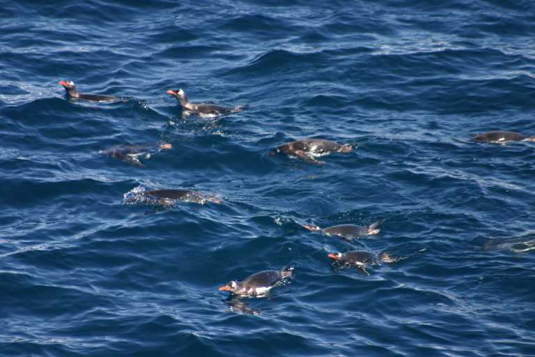 031228_PLVe_118.JPG (45243 Byte)