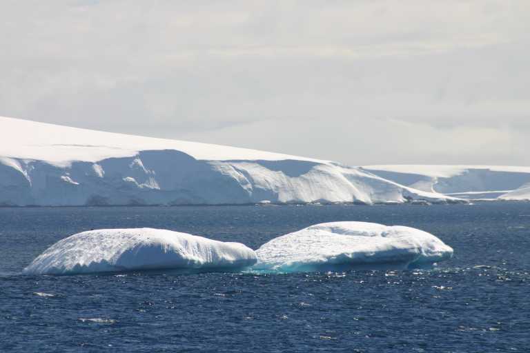 031228_PLVe_139.JPG (29934 Byte)