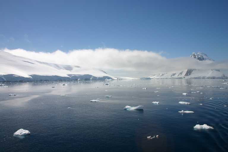 031228_PLVe_196.JPG (21814 Byte)