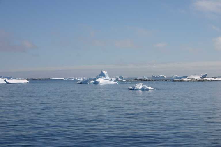 031228_PLVe_218.JPG (24696 Byte)