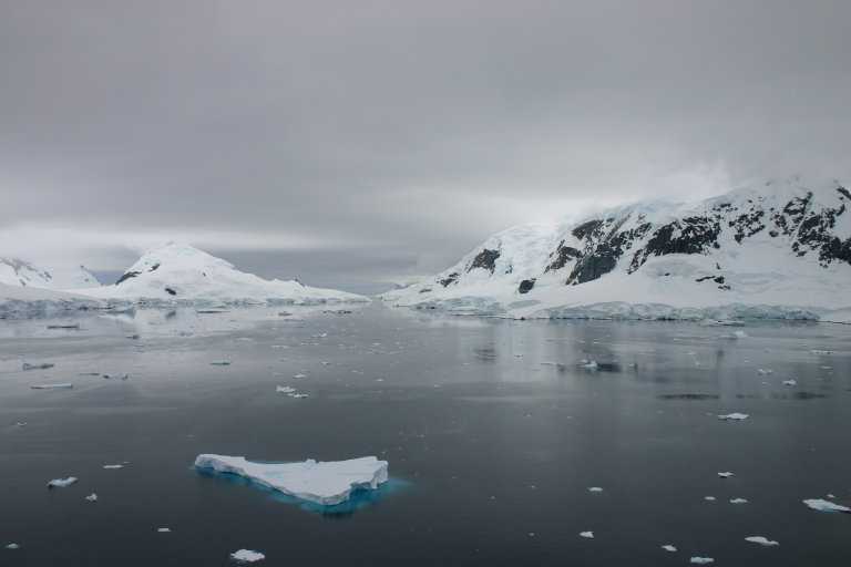 031229_phci_029.jpg (20345 Byte)