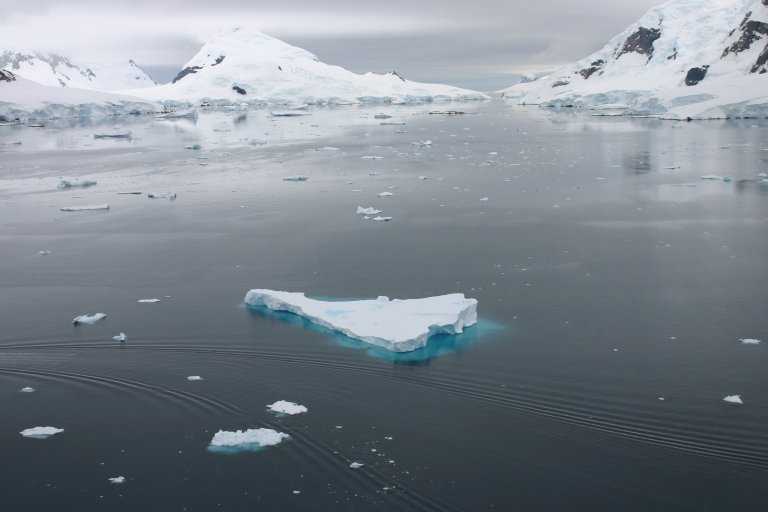 031229_phci_034.jpg (23316 Byte)