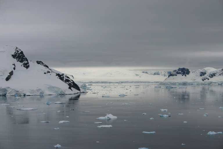 031229_phci_035.jpg (19037 Byte)