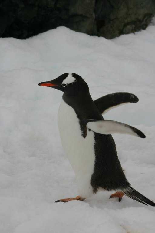 031229_phci_054.jpg (17045 Byte)