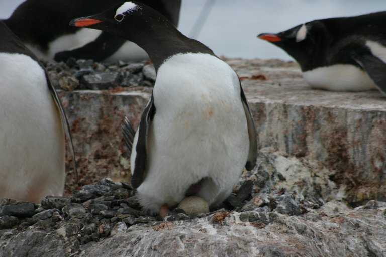 031229_phci_058.jpg (37474 Byte)