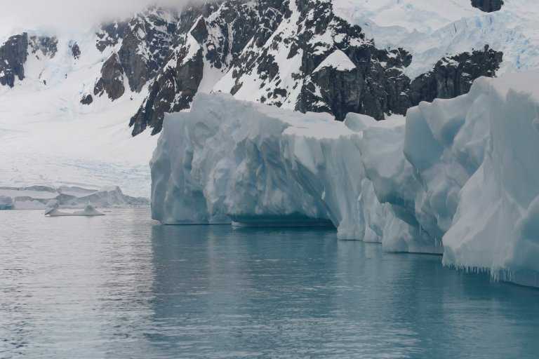 031229_phci_073.jpg (39419 Byte)