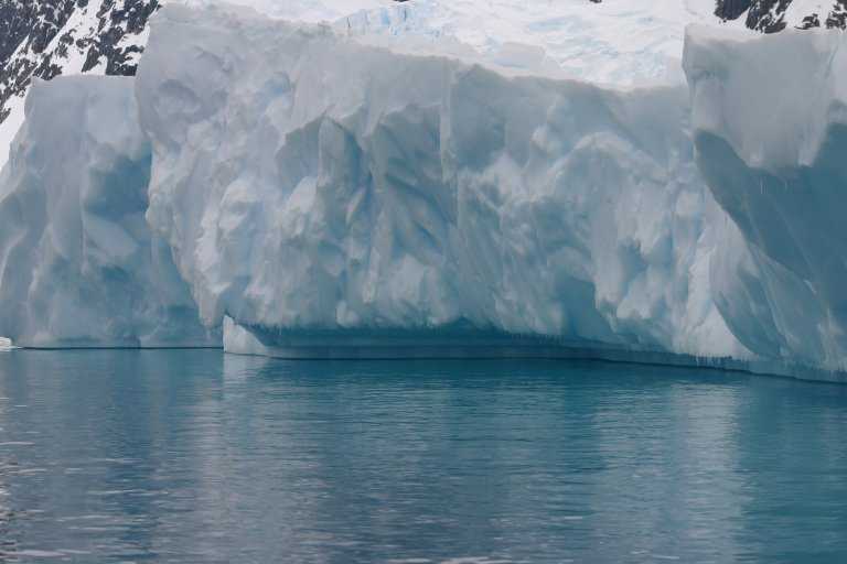 031229_phci_074.jpg (29848 Byte)