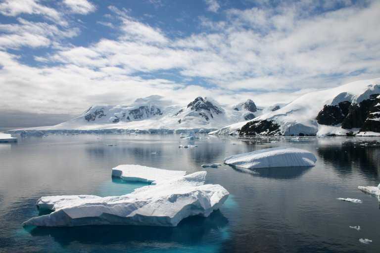 031229_phci_088.jpg (35994 Byte)