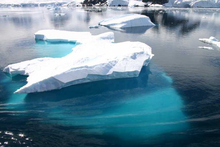 031229_phci_089.jpg (34539 Byte)