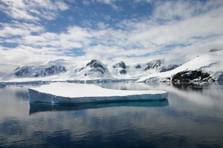 031229_phci_092.jpg (34943 Byte)