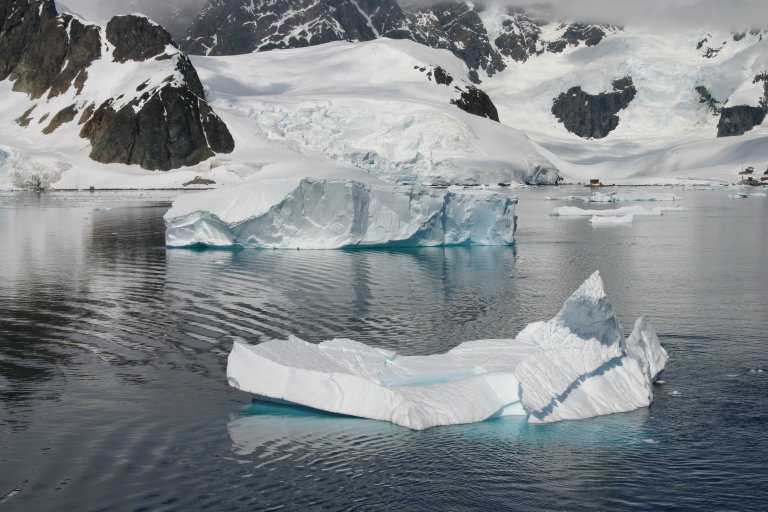 031229_phci_096.jpg (46751 Byte)