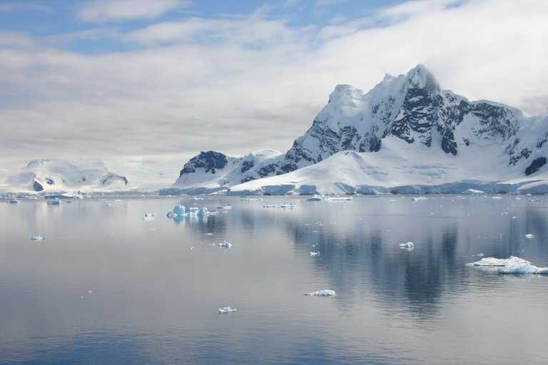 031229_phci_099.jpg (26789 Byte)