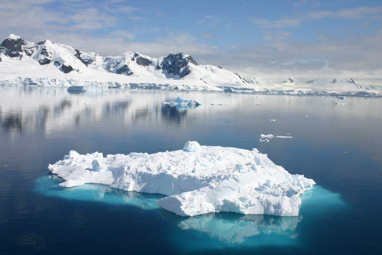 031229_phci_100.jpg (30848 Byte)