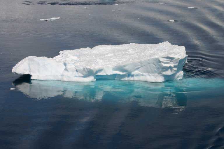 031229_phci_114.jpg (28248 Byte)