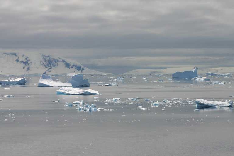 031229_phci_117.jpg (22462 Byte)